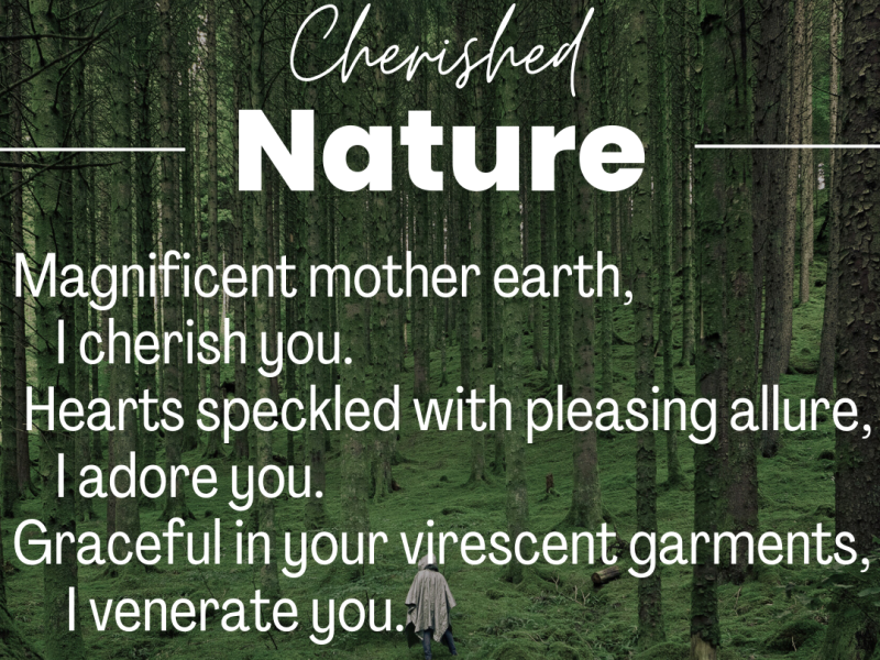 Cherished Nature